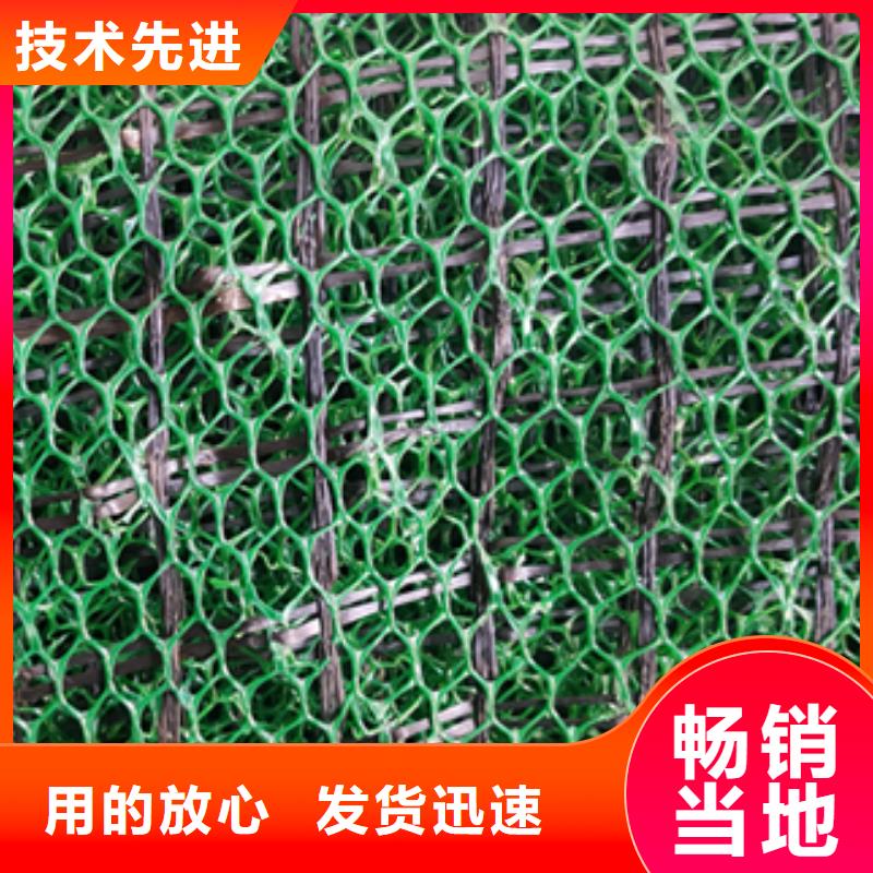 三維土工網(wǎng)墊實(shí)業(yè)廠(chǎng)家產(chǎn)品規(guī)格有哪些源頭廠(chǎng)家量大價(jià)優(yōu)