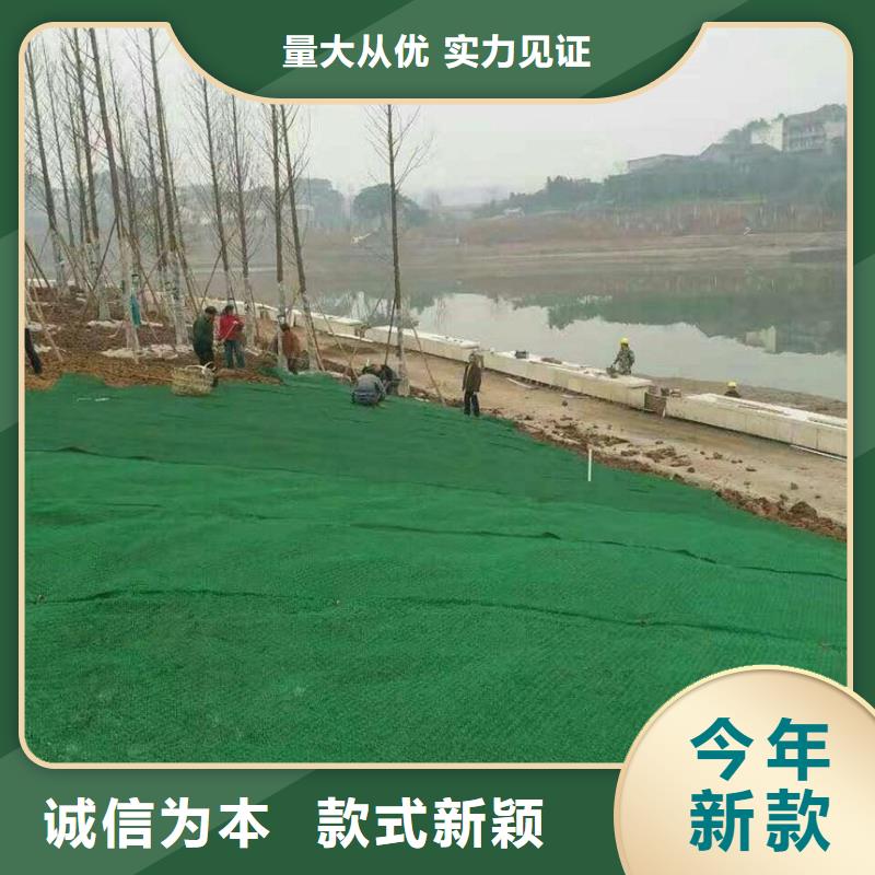 三維植被網(wǎng)多少錢一平廠家報價精選貨源