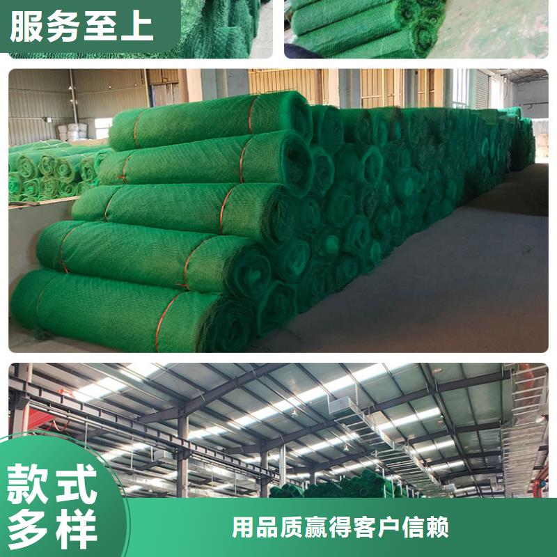 HDPE三維植被網(wǎng)生產(chǎn)基地/發(fā)貨快同城貨源