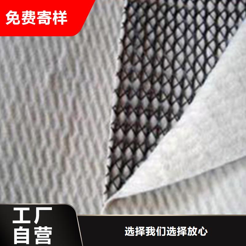路基过滤三维复合排水网规格型号齐全质量优选