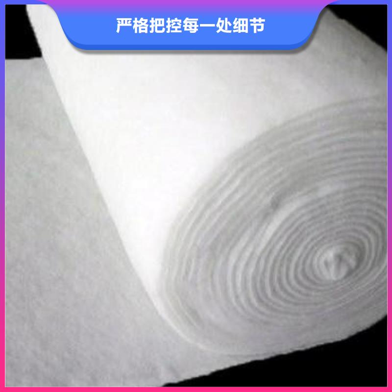 短丝复合土工布本地货源