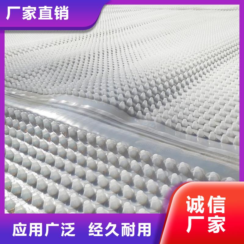 蓄排水板廠家大量批發(fā)-耐腐蝕【本地】公司