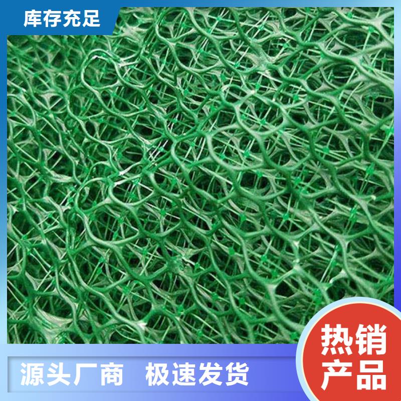 三維植被網(wǎng)廠家精益求精