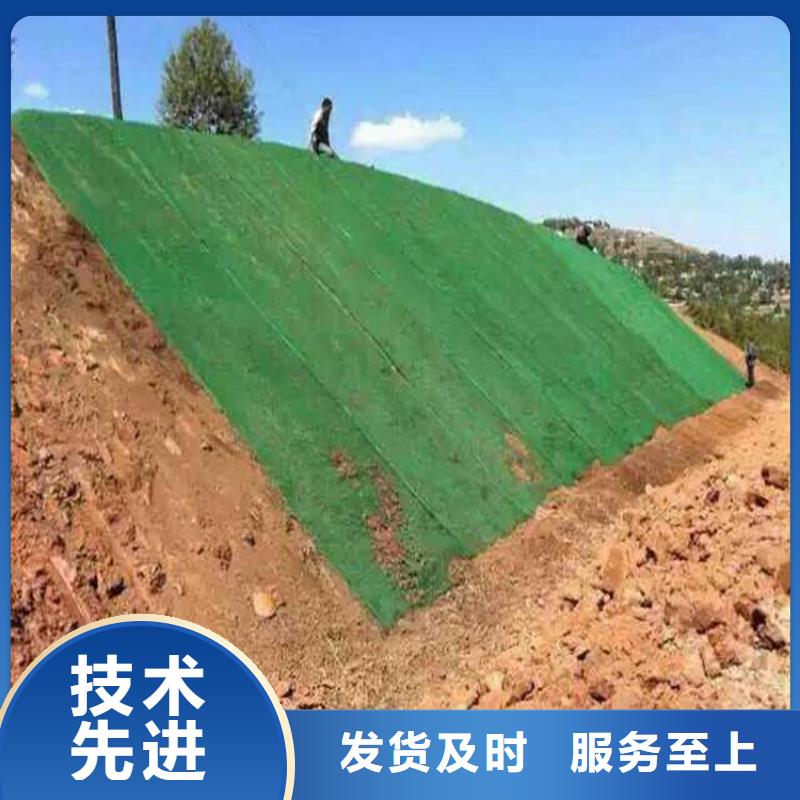 EM3EM4EM5三维植被网边坡防护三维植被网价格详细参数