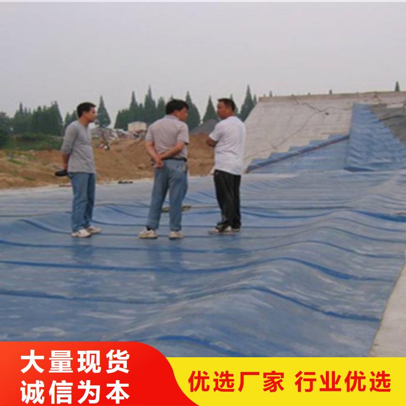 橡膠壩壩袋更換-公司價(jià)格{本地}公司
