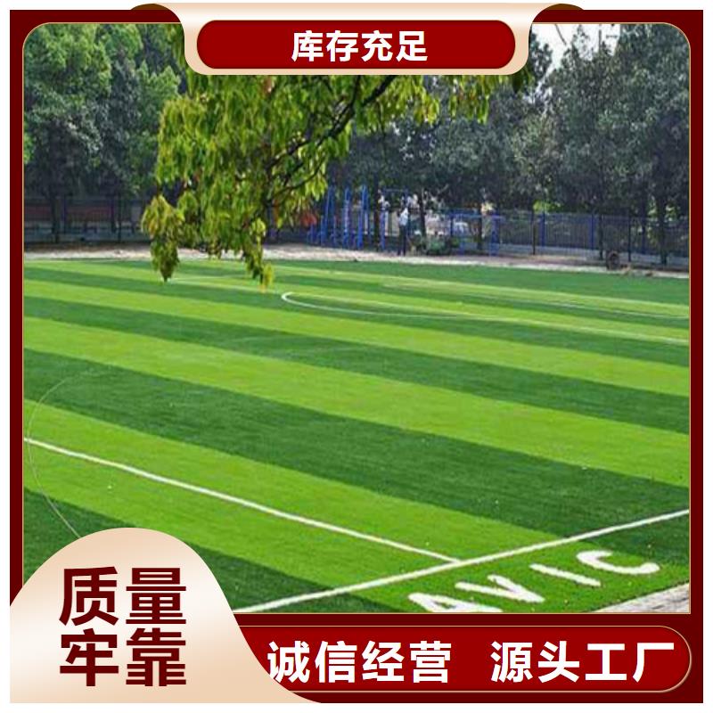 山东淄博沂源县编织人造草坪